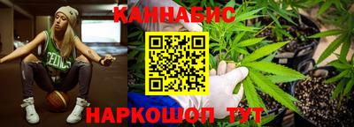 дживик Кингисепп