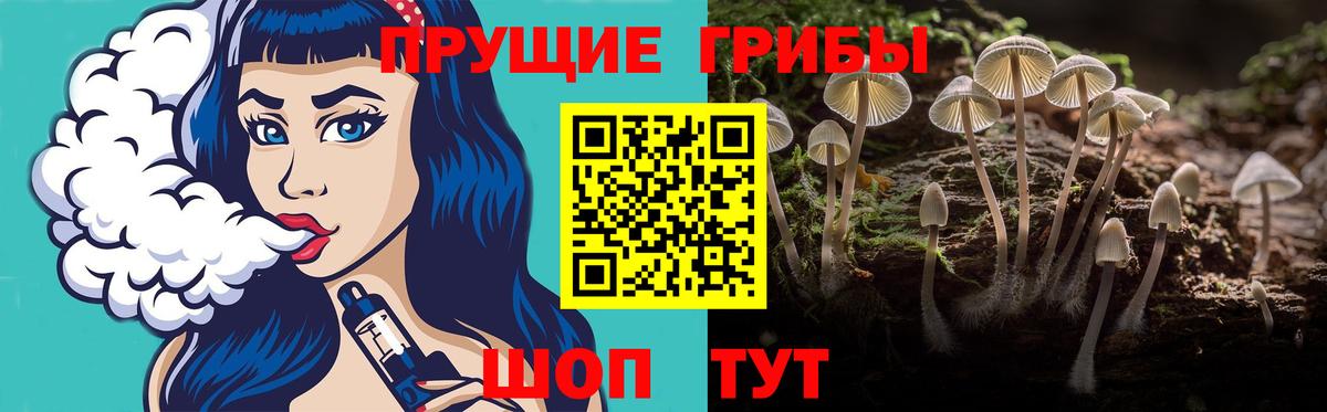 Шебекино  Псилоцибиновые грибы MAGIC MUSHROOMS  Галлюциногенные грибы Magic Shrooms  Вход с VPN 